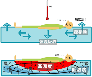 「塩でCOOL」の特徴