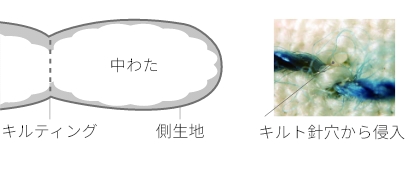 一般的な布団　中わたをキルティングで固定(中わた・キルティング・側生地)キルト針穴から侵入